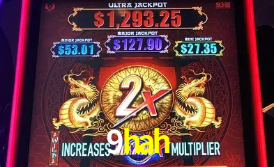 VIP Bronze Benefits